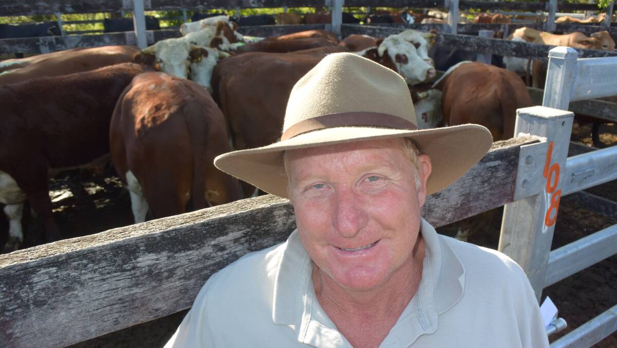 Michael Clayworth, Wauchope, sold Hereford steers at Kempsey on Friday receiving 292c/kg for 420kg to average $1228. He bought the cattle as weaners, bred by the Preston brothers, Byabara and John O'Brien, Bagnoo, to target Friday's bullock and steer sale at Kempsey.