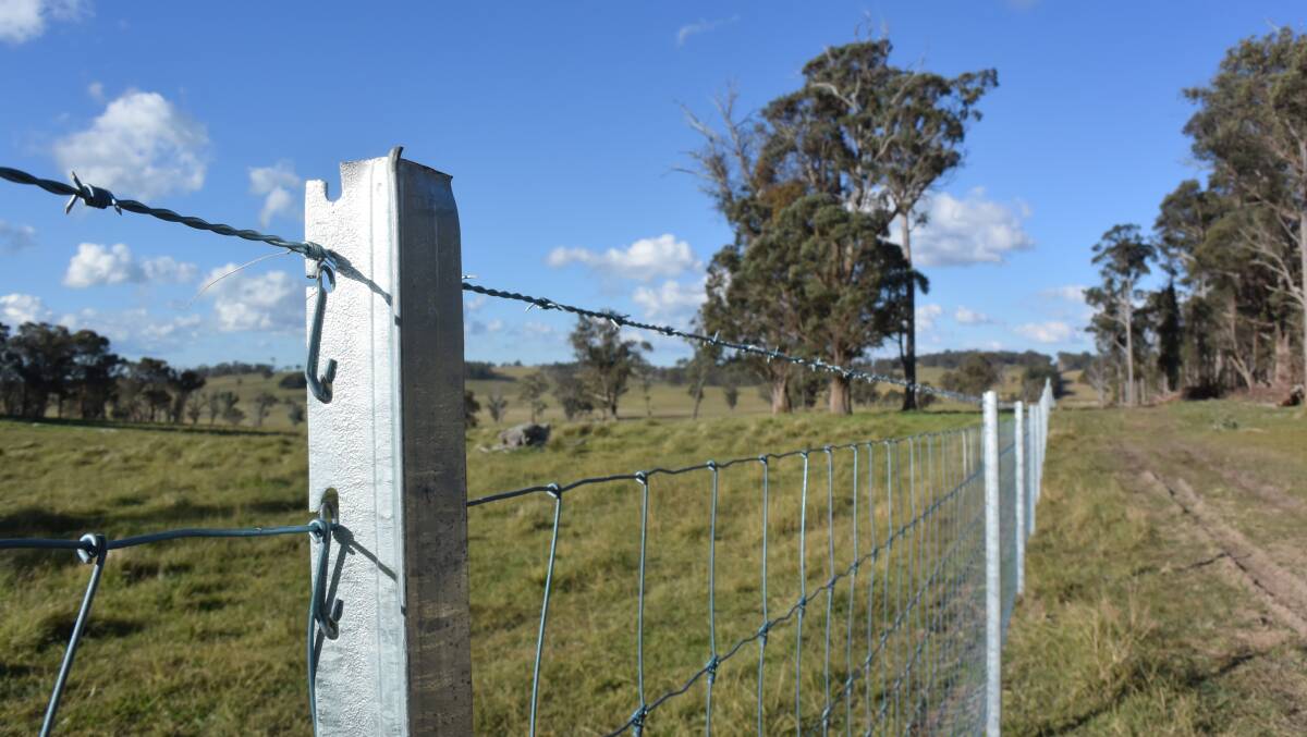 This new dog fence at Wongwibinda near the Eastern fall above the Clarence is creating safe country which might see a return to wool production.