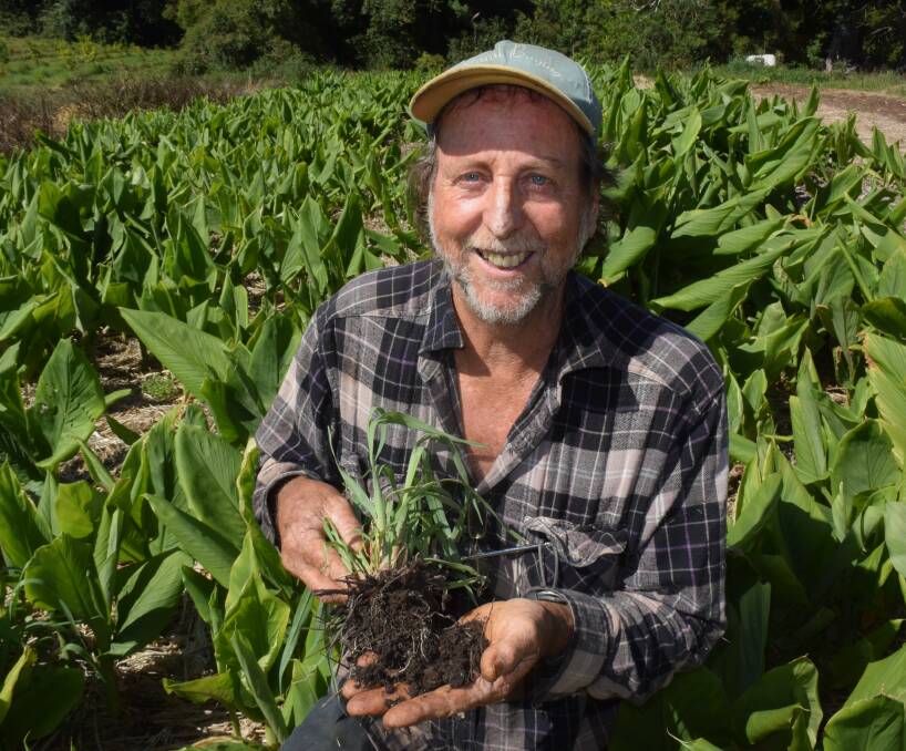 Dave Forrest, Federal via Bangalow, is a proponent of better biological education through TAFE. He practices what he preaches, growing organic turmeric on red soil turned black with sensible and sustainable farming practice.