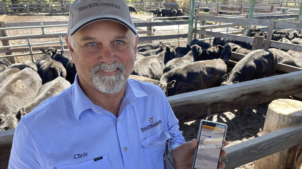 Chris Gunther, Glencoe, with a phone application designed to put profit first in the cattle trade. The software was developed within his family, based on generations of practical trial and error.