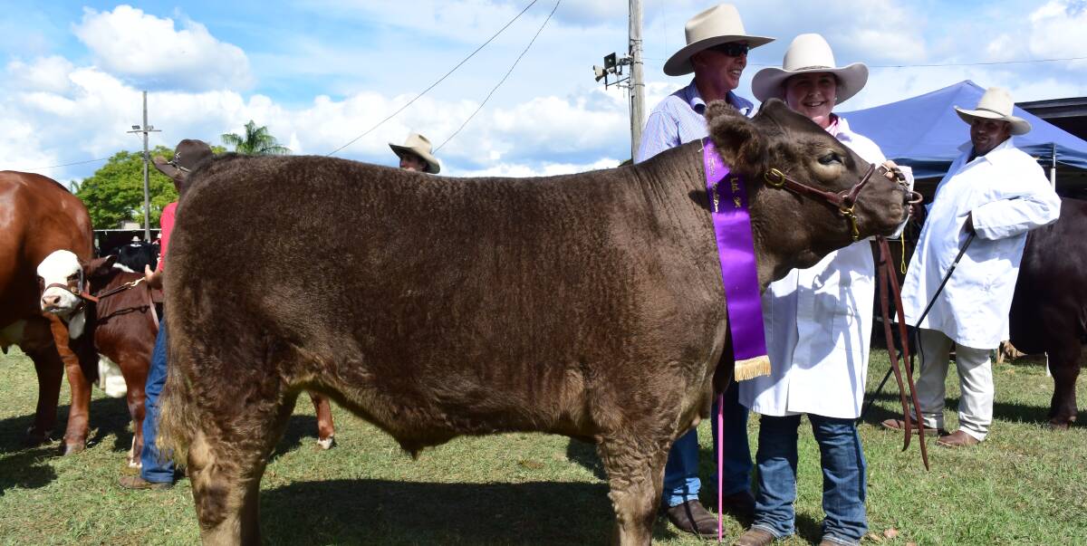 Mark and Olivia O'Reilly, Iron Pot Pastoral, Kyogle, with reserve winning steer 'Rango'  on show at Grafton and ready to present at Casino Beef Week later this month. About 80 entries are expected at the Richmond Valley event.