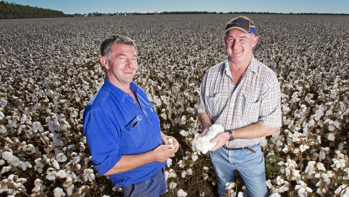 Roger and Tim Commins, Commins Enterprises, Whitton. A hands-on approach to business has seen great success in such diverse enterprises as cropping, horticulture, and manufacturing .