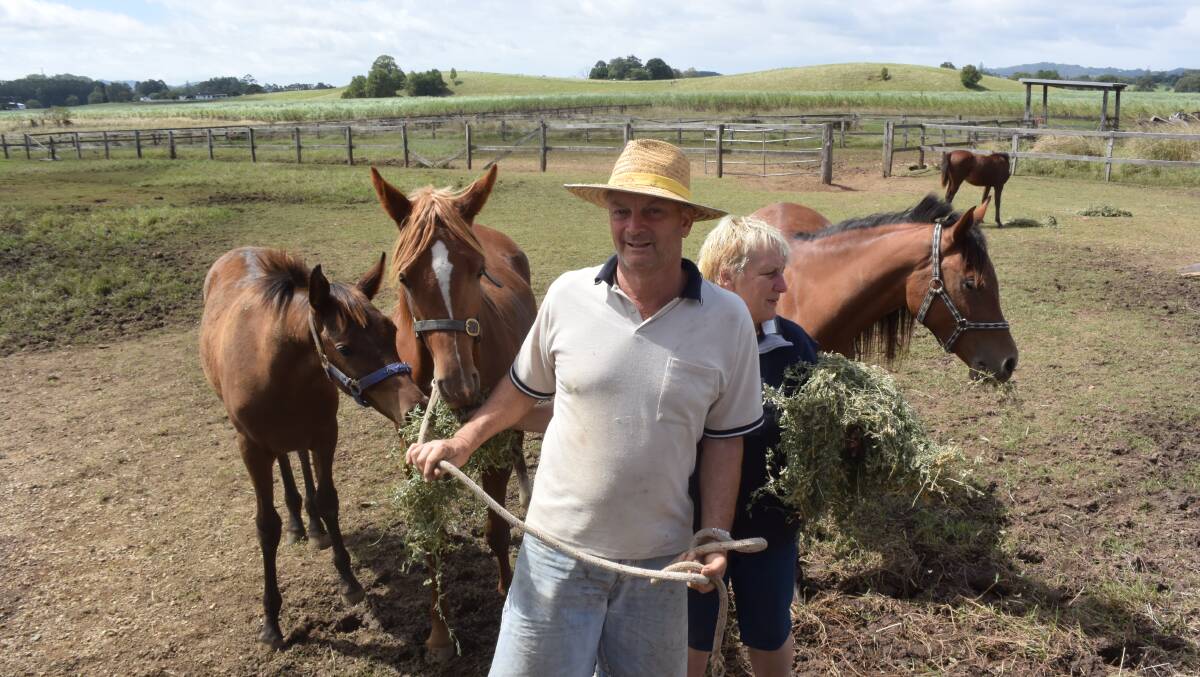 Market influence has steered Peter and Marissa McDonald, Murwillumbah, away from vaccinating their endurance Arabian horses against Hendra. They manage the risks at home by minimising contact with bats.