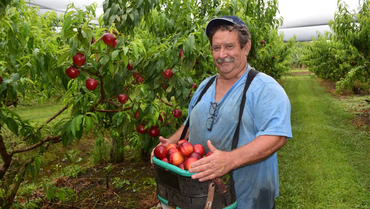 Jeff Zanette, near Lismore says a hands-on approach to managing labour is essential for success in small farming.
