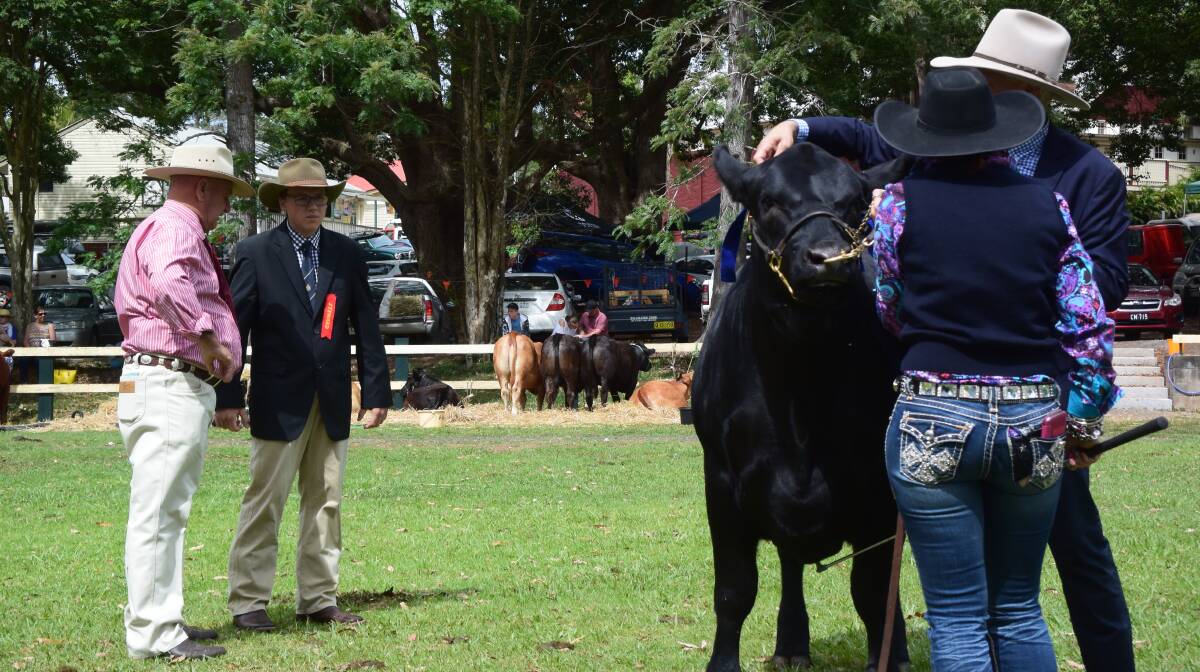 Judge Grame Hopf's efforts in the beef ring are sometime contentious but always consistent. Here he discusses a decision with junior judge Colby George at Bangalow.