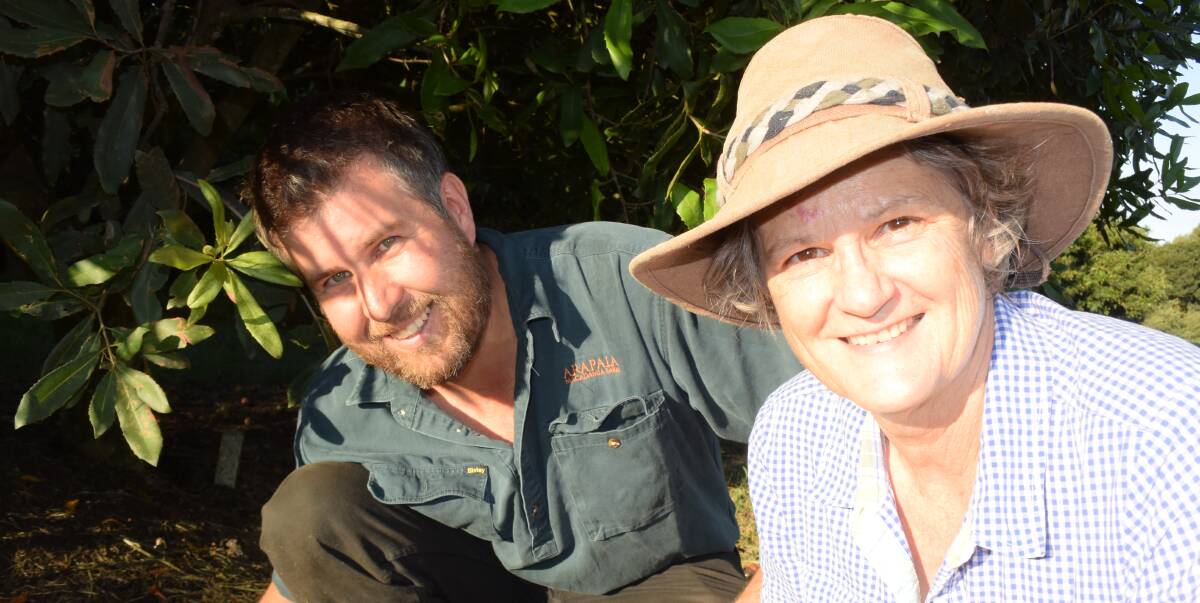 Arapala macadamia nut farm manager Chris Cook and Ann Verschuer, director of plantation owner the Dymocks Group, are adopting the use of mulch to combat die-back in their 26-year old plantation at Yarrahappini via Macksville.