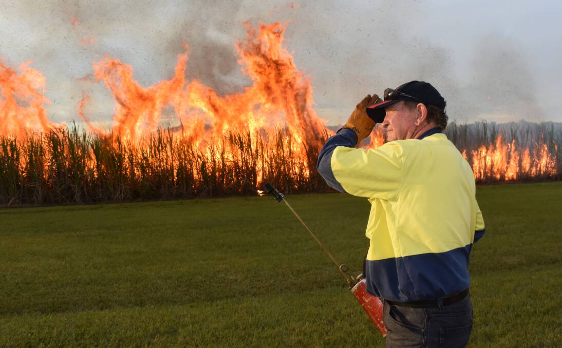 Mark Gittoes, Broadwater, shields his face from the intense heat of a sugar cane fire prior to harvesting. Tonnage expected from the Northern Rivers will be on par to last year's cut but prices have jumped significantly.