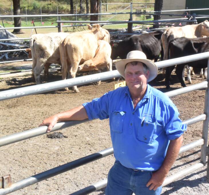 Neil Rhodes, Chambigne, with Charolais-cross cows with calves that made $2260 going back to the paddock ahead of processing through EC Throsby at Singleton.