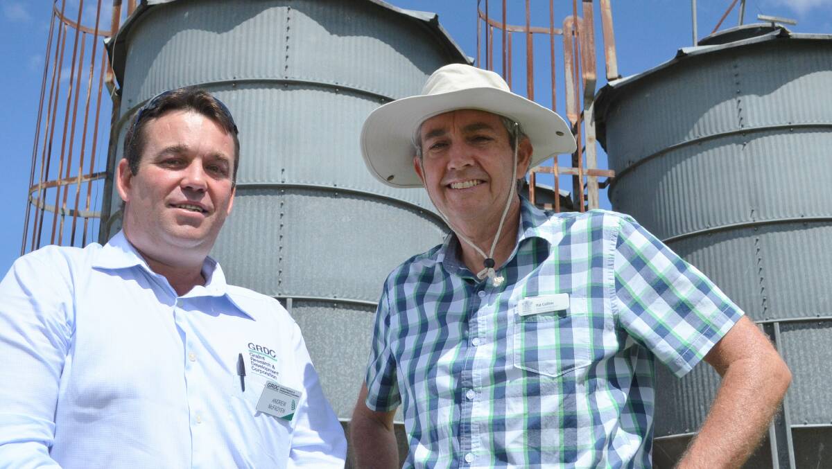 GRDC northern panellist Andrew McFadyen assessing grain storage systems with Hermitage Research Station technical officer Pat Collins.