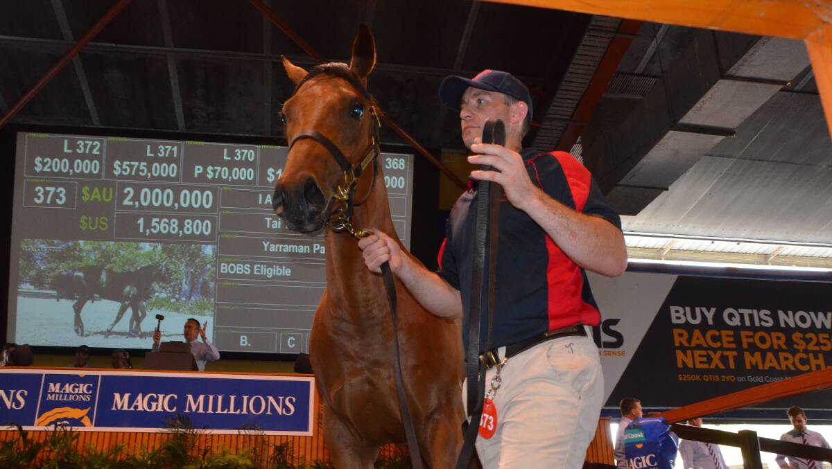The sale’s topper of day 2 of the Magic Millions Gold Coast Yearling Sale – the I Am Invincible Colt (with handler Eddie Fanning) which sold for $2m. Photo Virginia Harvey