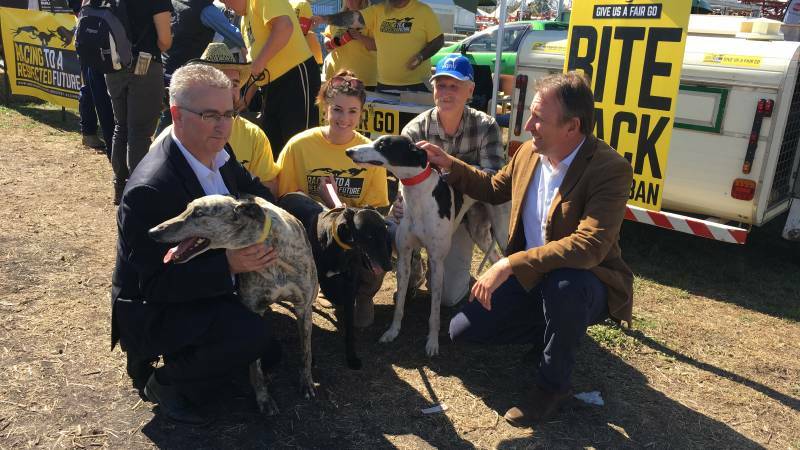 BAN TALKS: Greyhound Breeders, Owners and Trainers Association chief executive Brenton Scott, members of the Greyhound Alliance and Barwon MP Kevin Humphries at AgQuip yesterday. Photo: Carolyn Millet