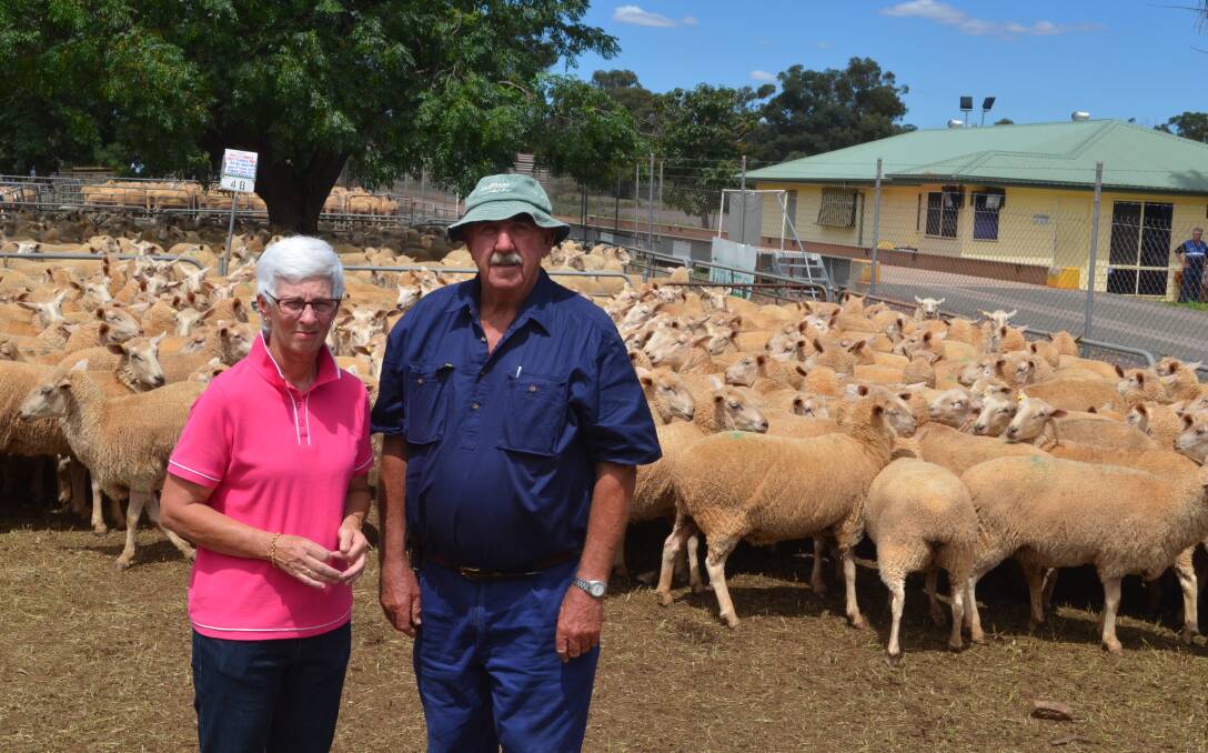 Julie and Malcolm Limbrick, "Moorlands", Grong Grong, with 190 scanned-in-lamb ewes they sold for $245 at Narrandera on Tuesday.
