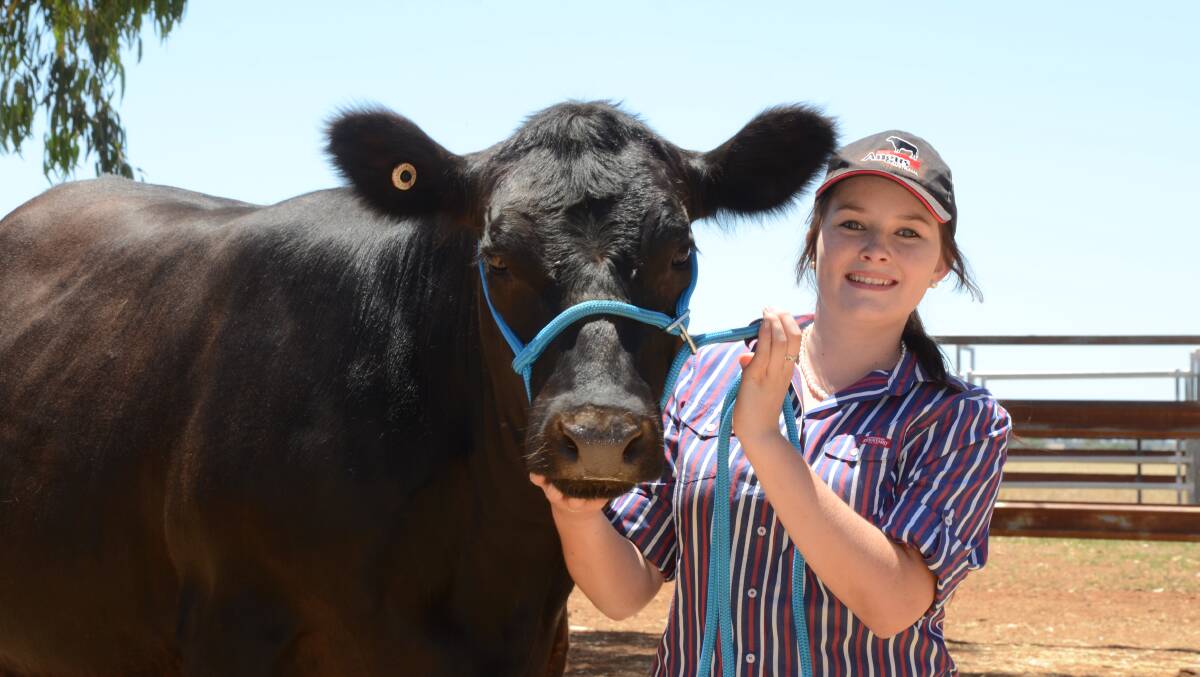 Ashley Hall with her first home-bred heifer, Infinity Kansas K1, at home on "Taraloo", Parkes.