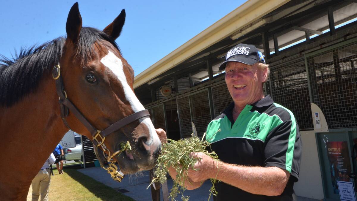 The Sutton based trainer/owner/breeder and yearling seller, Neil Osborne of Mane Lodge with the Not A Single Doubt – She’s Red Hot colt at this week’s Magic Millions Gold Coast Yearling Sale. Photo Virginia Harvey