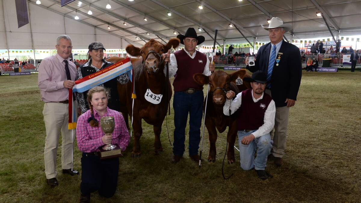 The Urquhart Perpetual Trophy, Gary Urquhart, Woodville, holding the ribbon with Kirrily Iseppe, GK Livestock, Dalby, Qld, Gary's daughter, Georgia, 12 holding the trophy, Gavin Iseppi of GK Livestock, Dalby, Qld, Qld Cattle Committee, Chairman, Greg Watson stands behind handler, Nathan Stevens, Orangeville 