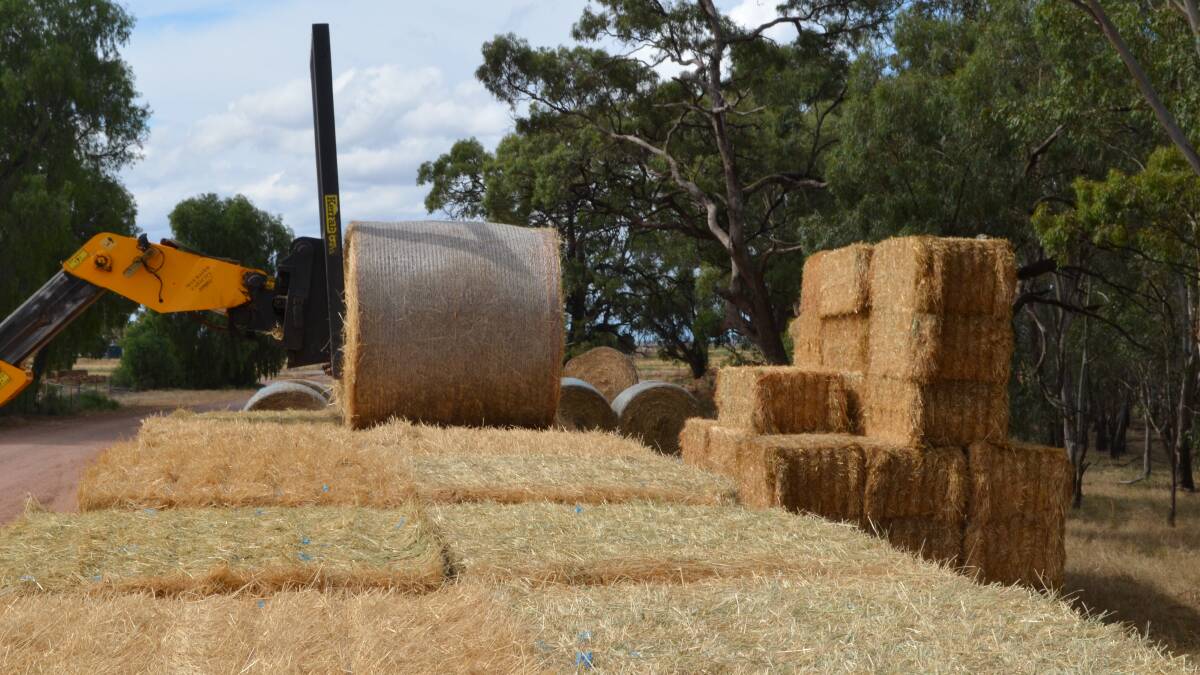 Make hay while the sun shines