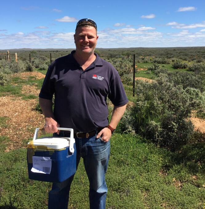 Biosecurity Officer, Grant Davis, sent the suspected RHDV-2 infected rabbit carcase for testing after it was delivered to the Local Land Services office at Broken Hill.