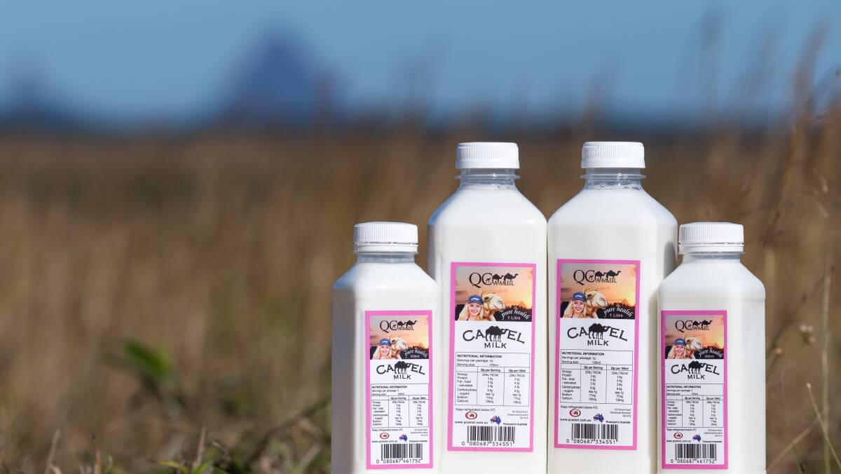 Their products are not as conventional as milk from cows, but producers of milk from camels, buffalo, sheep and goats are feeling cheated by the widespread use of the word milk to describe plant-based liquid alternatives which aren't officially milk.  