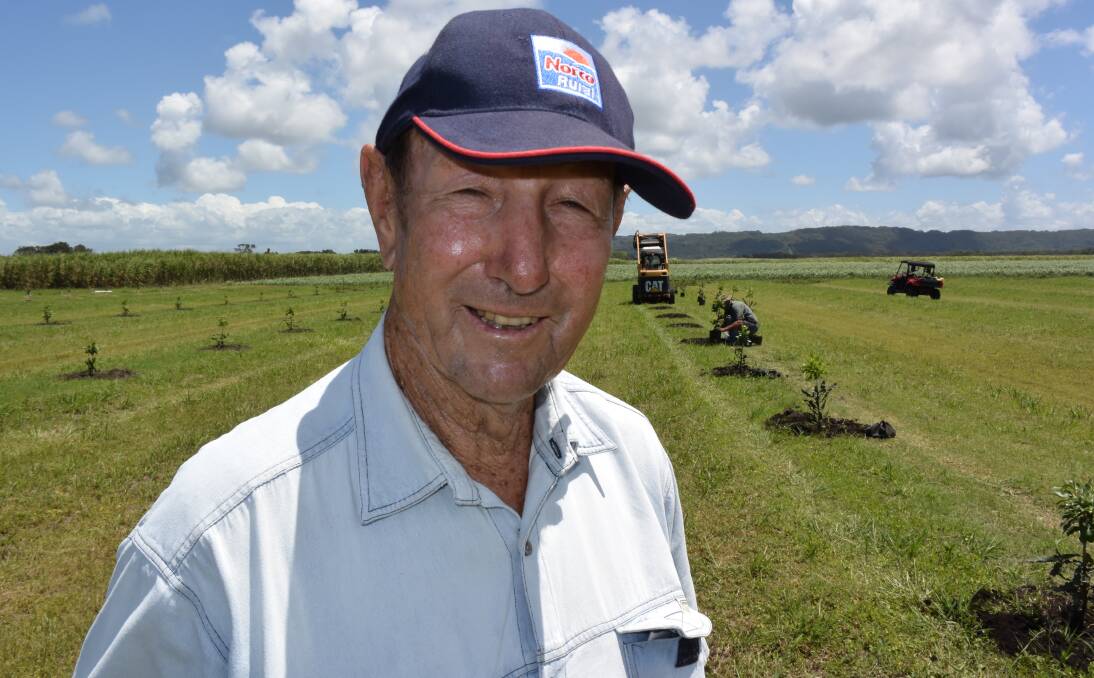 JOOF Albert is part way through planting 12,000 macadamia trees on floodplain soil at Empire Vale near Ballina. Based on previous results from pioneer floodplain nut growers the future is very bright.