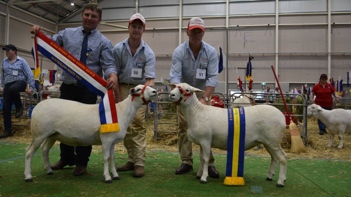 Judge James Frost, Crookwell, with Tattykeel stud's Ross and Martin Gilmore, with their grand champion ewe and reserve ewe.