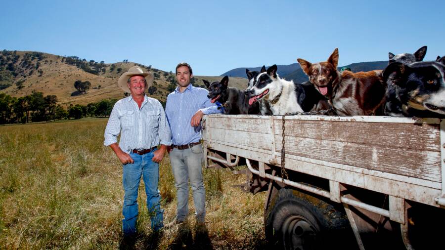 Dockers Plains Pastoral Company manager Dane Martin with company director Will Paul and the station working dogs.