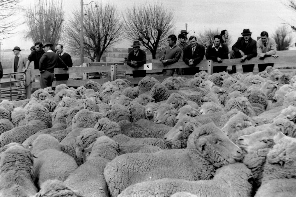 Locals gather for a sheep sale in 1971. Goulburn's current owner Bill Vowles recalled the '70s as huge and drovers said as many as 40,000 sheep regularly came through. 