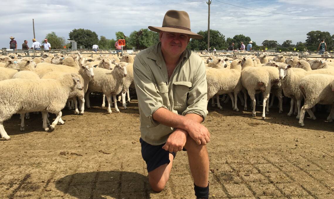 Gerard Talbot, "Rosslyn Grange", Coreen, sold 136 Border Leicester/Merino ewe lambs, April/May 2015 drop and October shorn, for $184 at the Corowa sheep sale last Thursday.