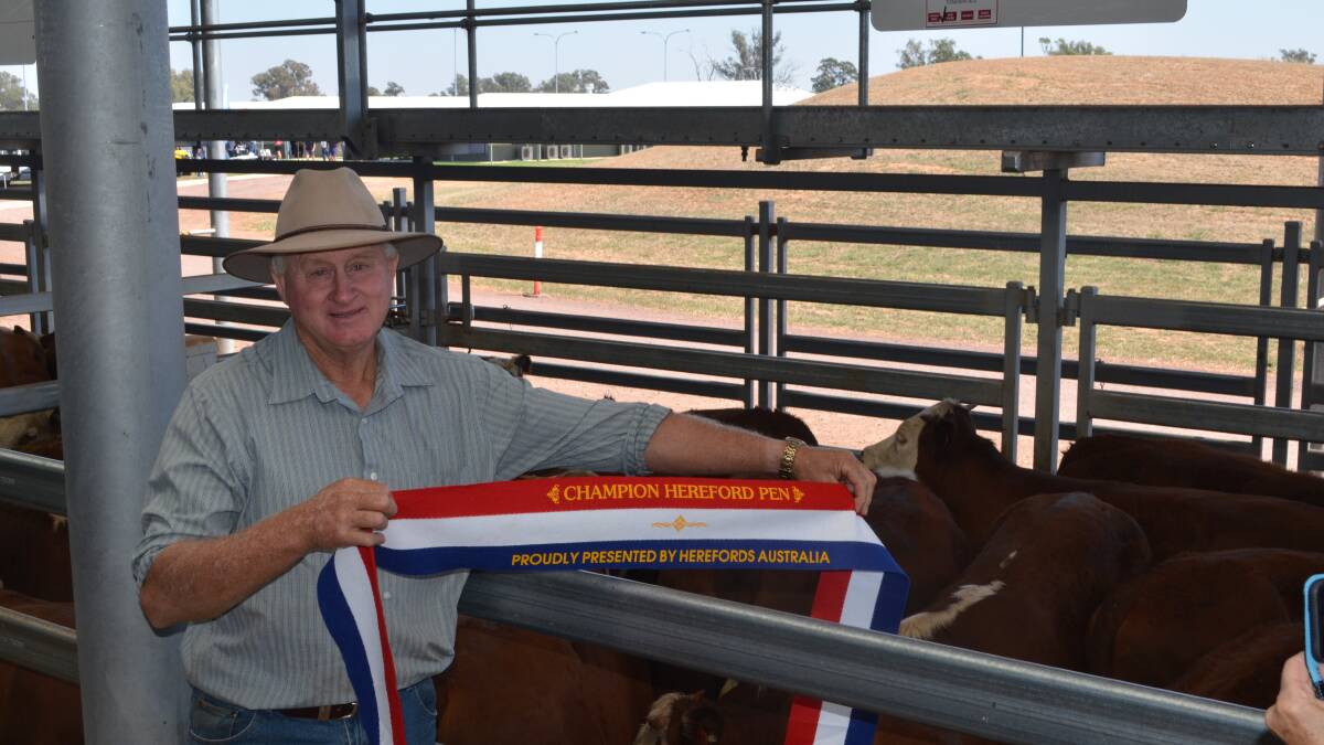 Pat Pearce, chairman Herefords Australia displaying the sash awarded by Herefords Australia for the best presented pen of Hereford steers bred and offered for sale by Denis Smith, "Bimbadeen", Urana. The 24 steers by Tondara bulls weighed 382kg and sold for $1235. 