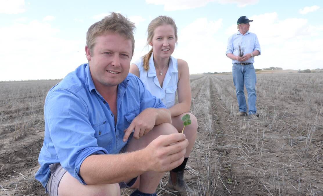 Soaking rain which fell in the past fortnight has allowed John, Edwina and Ken Stump to plant dryland cotton at "Windella", Rowena, for the first time since the 2011-12 season.