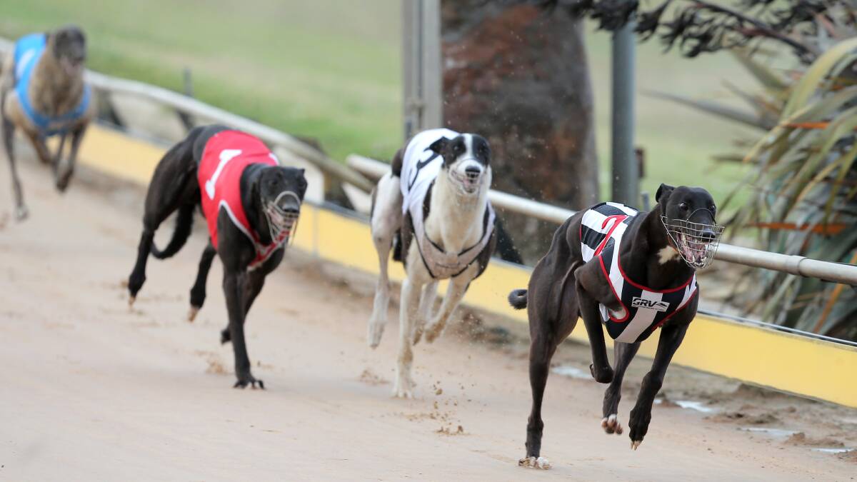 Greyhound industry reacts