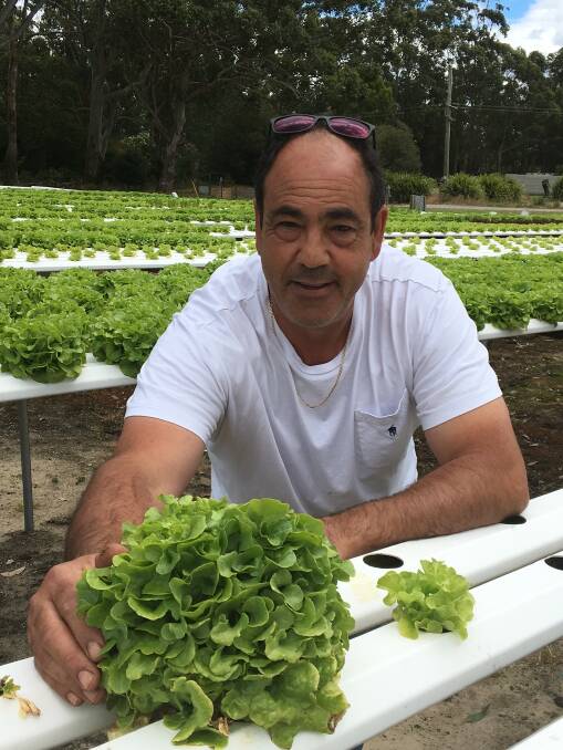 Farmer of the Year 2016 winner Nick Arena with hydroponically grown lettuce grown from his fish farm.