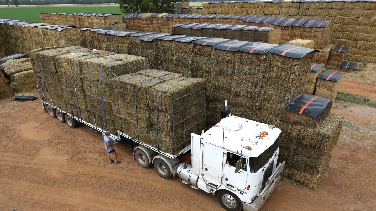 Stanbridge farmer Brendan Farrell has been running loads of hay to drought stricken famers in Queensland. Photo: Brad Newman.