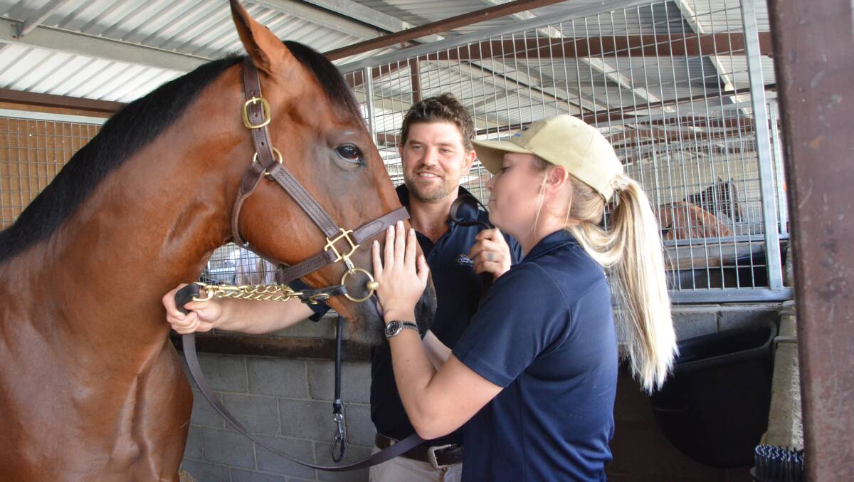 Grooms Scott Andrew and Karis Clarkson put the finishing touches on the Snitzel – Admirelle colt which sold for $1.6m at the Magic Millions at the Gold Coast. Photo Virginia Harvey