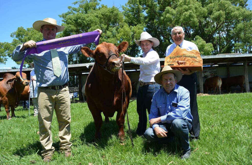 Highlights from the Murwillumbah Show.