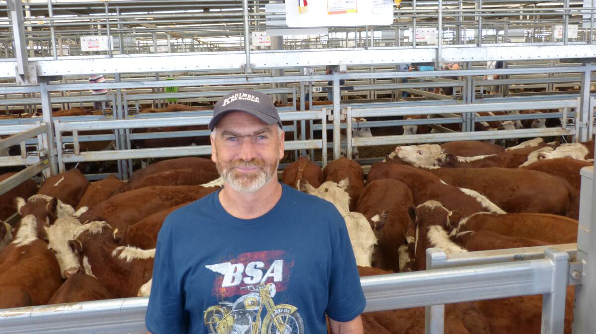Trevor Ralston, "Hollywood", Euroa, sold Hereford steer calves to a top of $1260, at Barnawartha, Thursday. Hereford cattle were well supplied, in good condition, and sold better than expected.