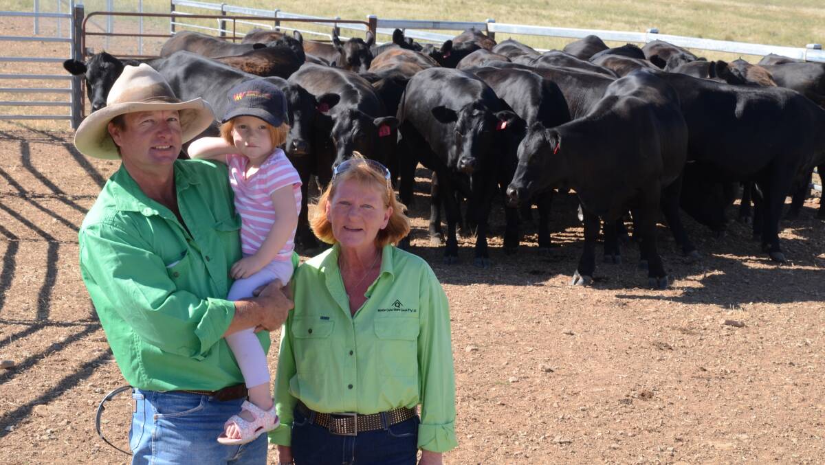 Cousins Jenny Quirk and Ben Lawson, “Monte Carlo”, Store Creek, NSW, have been building up a quality Angus herd now consisting of 150 breeders and a Merino flock of 1400 ewes. They are pictured with Ben’s daughter, Maggie, 3, and some of the 16-month-old replacement heifers recently joined to Angus bulls.