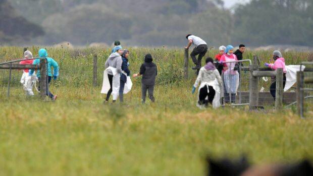 Potential illegal workers try to flee during a Border Force raid on Vizzarri Farms in Koo Wee Rup, Victoria. Photo: Joe Armao