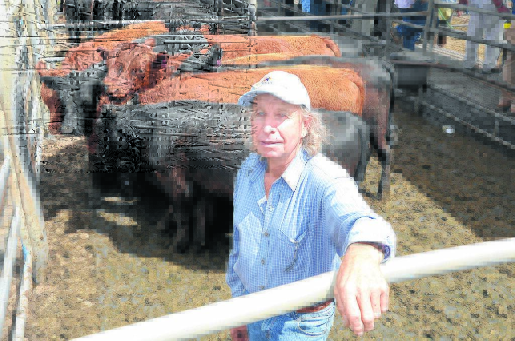 David Wisbey, Botobolar Pastoral Company, Mudgee, with nine of his 10 month-old purebred Angus and Limousin/Devon cross steers which fetched $960 each during the Dubbo Store Cattle Sale last Friday.