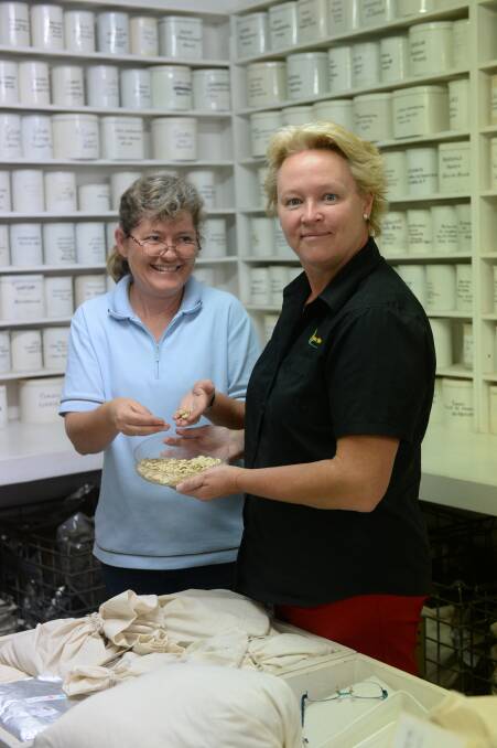 Director of Royston Petrie Seeds Rowena Lewis, Mudgee, checking Jap pumpkin seeds with Warehouse Manager, Rosalind Dickson.