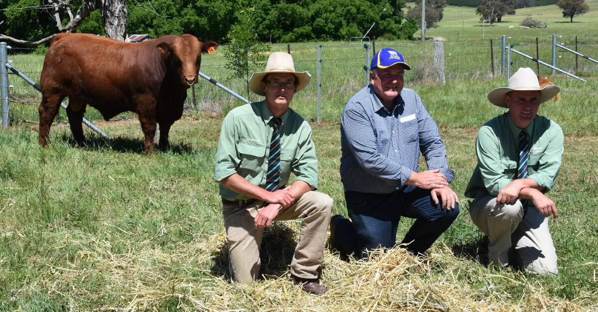 Pheobe Eckerman sold her first bull Aruma Maximus M1 for $16,000 to Daniel Scamps, Kangaloon. Hamish McGeoch and Peter Godbolt flank Peter Eckerman.