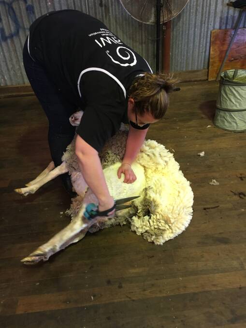 Women taking up shearing