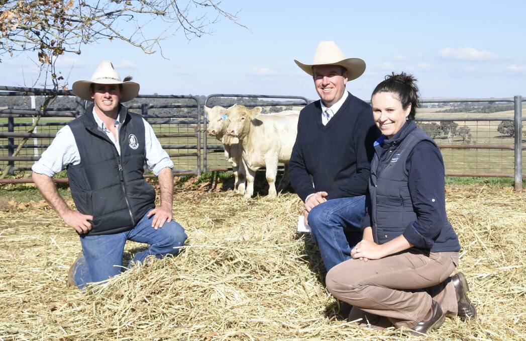 Rosedale Charolais principal James Milner with auctioneer Paul Dooley and AuctionsPlus representative Anna Adams who purchased the top price bull Rosedale Manson for $16,000 on behalf of Palgrove Charolais, Dalveen, QLD.