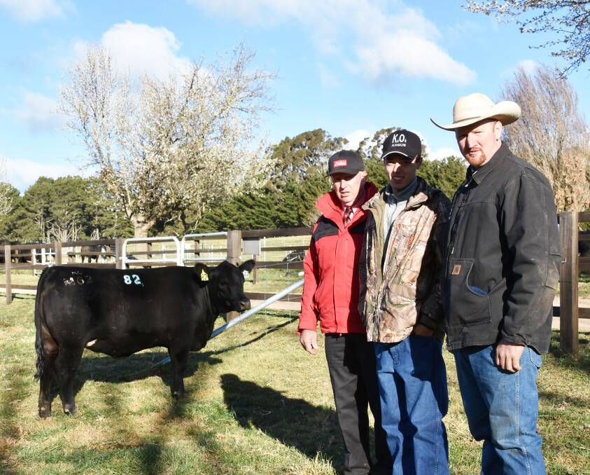 The $7000 second top price heifer, KO Moongarra M62, purchased by Steve Ridley, Elders, on behalf of Ayr Park Angus, Woodstock, with Angus Onisforou and Tim Lord