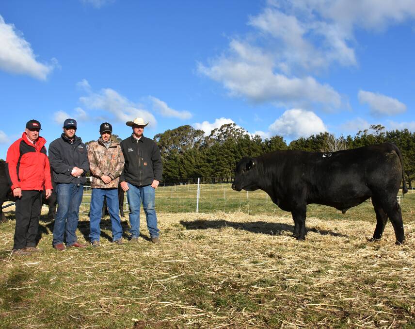 Steve Ridley, Elders Goulburn, with Angus Street, AuctionsPlus, and Angus Onisforou and Tim Lord of KO Angus with the $16,500 top price bull.