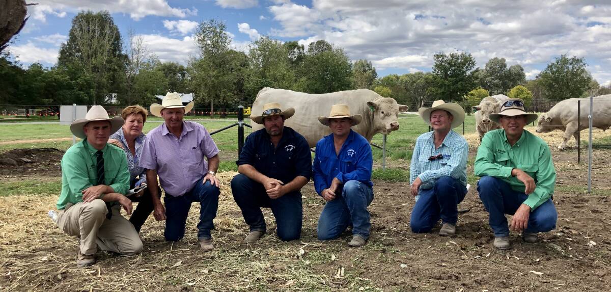 One of the $16,000 bulls, Kenmere Padlock with Nutrien auctioneer Peter Godbolt, Kenmere co-principal Ann-Marie Collins, manager Glenn Trout, purchasers Ben Whitelegg, Shane Gallagher and Craig McNabb, CM Pastoral and Nutrien Hay agent, Geoff McDougall. 