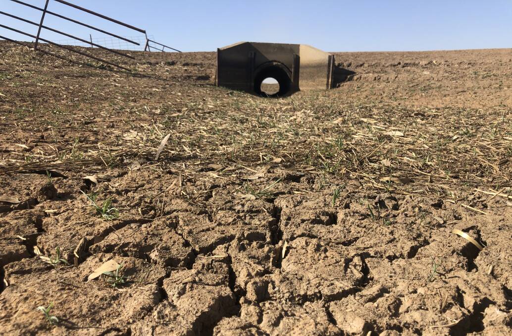Channels run dry: A private irrigation district says it has no conveyance water to deliver 'Water for Fodder' packages to successful applicants because they are on a zero per cent general security allocation. 