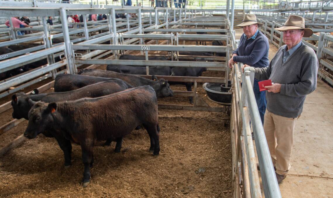 Ron Latham, Coolong, Young (right) with Doug Mitchell, Binalong. Ron sold four Angus steers, ave 362kg, with Holman Tolmie for $1680. Photo: SELX 