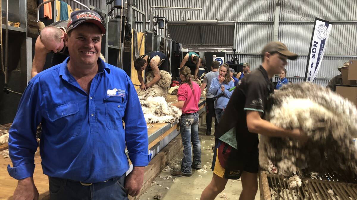 Peter Westblade Memorial Merino Challenge convener Craig Wilson at the shearing of the wethers. There was a $35 difference in wool value between the top and bottom wethers in the trial. Photo by Nikki Reynolds. 