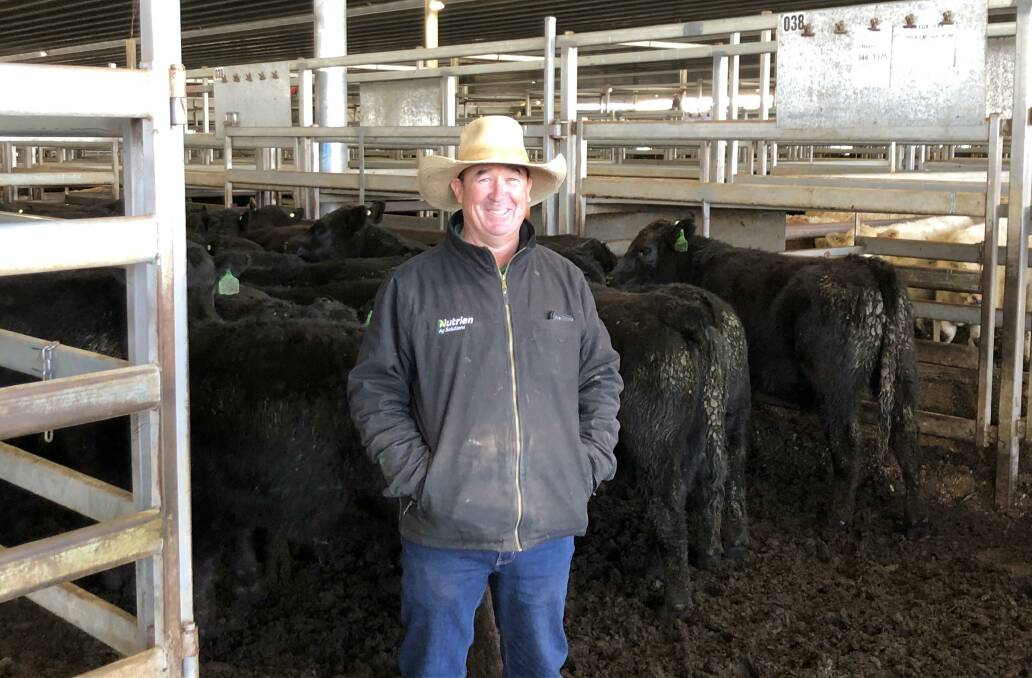 Paul Glynn, Nutrien Molong with a line of 40 Angus weaner steers, 344kg, offered by RN and CMC Walkom, The Waratah, Blayney, which sold for $1510. Photo supplied. 