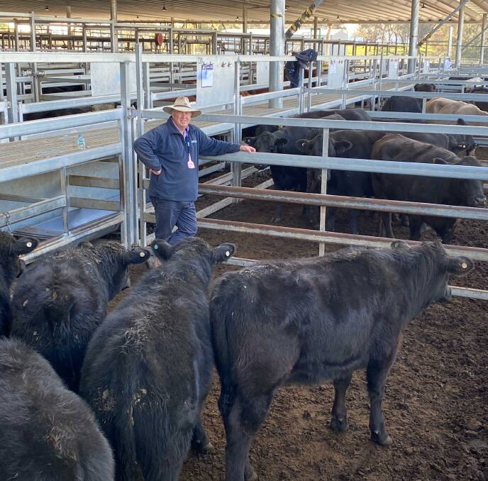 Lindsay Fryer, McCarron Cullinane with a pen of seven Angus cow and calf units from J Cantrill, Nashdale, Orange, which sold for $3225. Photo supplied. 